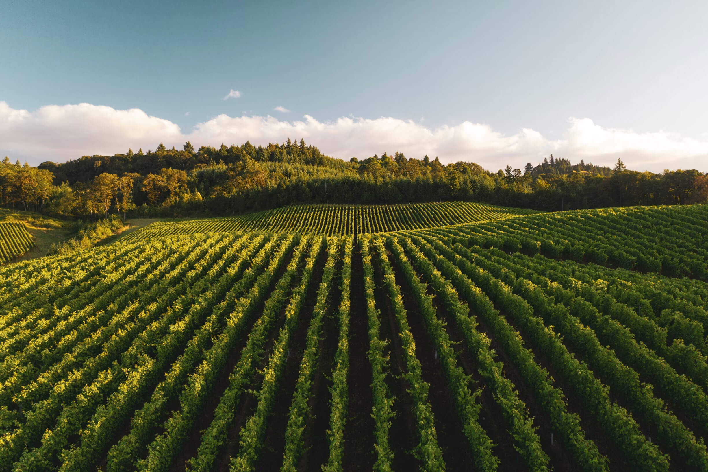 Sistemi di Monitoraggio per agricoltura